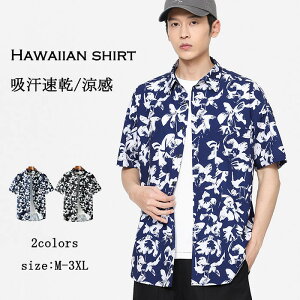  AnVc Y ԕ Vc    K d˒  T}[ r[`Vc jp t@bV JWA nC C T[tB x s ̓ v