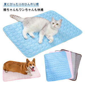  ybgp N[}bg  L ėp ⊴}bg Ђ}bg ڐG⊴ ybgxbh ⊴~pbg }bg ă}bg ⊴V[c p Lp ybgpi ^ ʋC 킢