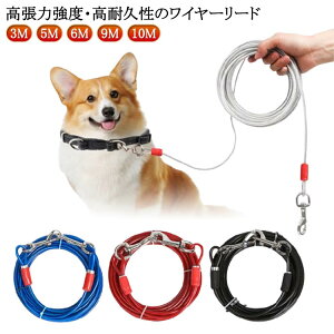  Kтɂ XeX p[h ^ `[u O[h [h ^ ̎U ؂Ȃ[h ؂Ȃ[h C[[h hbO[h ؂Ȃ[h 3M 5M 6M 9M 1