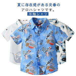  AnVc LbY Vc q j̎q ̎q qǂ An Vc ԕVc q t Vc qVc LbYVc  T}[ ][g  킢