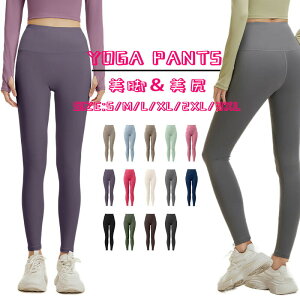  Kpc fB[X KMX ėp X|[c KEFA K MX  傫TCY X|[cEFA  pc seBX EFA tBbglXpc g[j