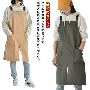  Gv Ɩp H^ Ђ tgXbg v ۈm HX  Ɨp |Pbgt [N Y fB[X jZbNX jp n  Ԃ邾 