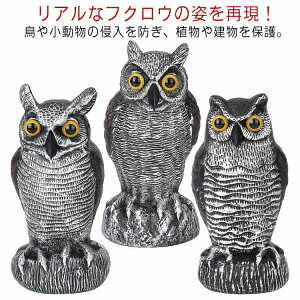  tNE 悯 K[f  悯ObY ObY 悯ObY x_   ӂ ΍ ng Q΍ObY ΍ Nh  Ƃ悯 XY |点 