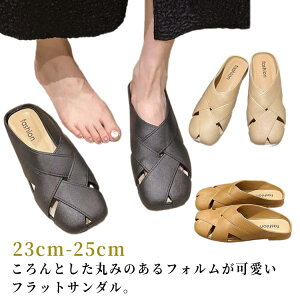  T{T_ ~[ tbg T_ Xbp EhgD NbOT_  NbOV[Y fB[X ؂ y ItBXT_ V[Y ɂ 