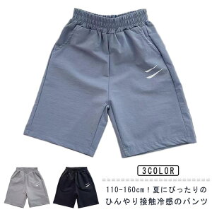  hLhC ڐG⊴ y Y{  Y{ R W[W Zp  pc XEFbgpc ʋC n[tpc z LbY ڐG⊴ j̎q w ۈ牀 X|[c 