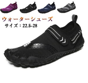  EH[^[V[Y }V[Y p r[`V[Y y _炩 v fB[X Y l C ی r@\ tBbg C  jZbNX   