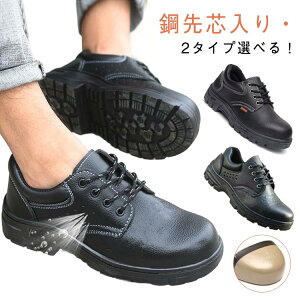  Y  Z[teBV[Y SC Xj[J[ |c X|[cV[Y ܐی bVt ƌC ɂ EH[LO V[Y Y [Jbg S