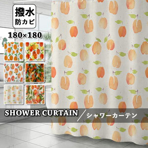  V[J[e hJr k oXJ[e  tbNt A ʕ CJ[e J[e Ȃ  oX[ oXpi Vv  Ց  q 