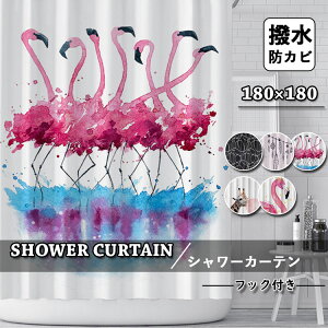  V[J[e Ȃ hJr k oXJ[e CJ[e  J[e oX[ oXpi GKg Vv  Ց  ʏ jbgoX t~