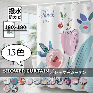  V[J[e  hJr Ȃ CJ[e k ʋC oX[ oXpi Ԏd؂ tbNt  J[e Vv  Ց  ʏ_炩 A