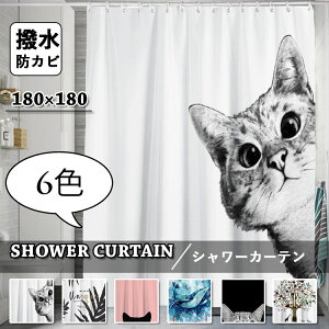  V[J[e Ȃ hJr CJ[e  L lR k Ԏd؂_炩  J[e Vv  NW  tbNt Ց  ʏ j