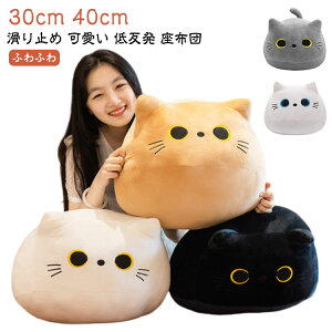  V[g ԗp  ᔽ ֎q Mtg L^ Ɨp ItBXp wZ K NbV [Rg zc  ~ v[g NbV L L P[X 킢 / NbV