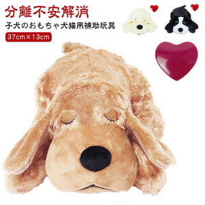  q̂ ʂ n[gr[ĝ S S Ȃ߂ n s q̂  ̂ ybg n[gr[g n[gr[g sɘa 