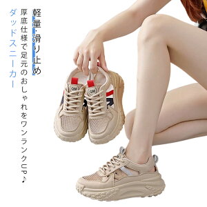  RC Xj[J[  r EH[LOV[Y fB[X Xj[J[ bV _bh Xj[J[ ʋC y ~ ₷ gAbv r 킢