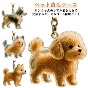  AObY [{g ybgуP[X L[z_[ g ̖  ybgуP[X ybgЂ  ыʓ ю[ ѓ ю[  4ރZb