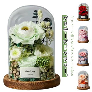 �������� �v���U�[�u�h�t�����[ �t�����[�A�����W �v���[���g �h�V�̓� �t�����[�M�t�g �K���X�h�[�� �c�� ���� �� �a���� �v���U�[�u�h�t�����[ �M�t�g �{�b�N�X�t�����[ �����j�� �����L