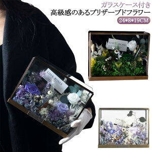  vU[uht[ v[g NX}X KXP[X t[ ͂Ȃ Mtg vU[uht[  j t[Mtg KX  LO {bNX