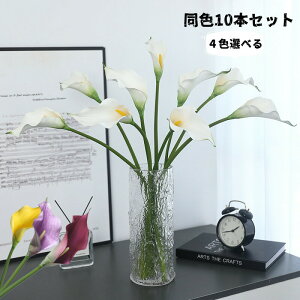  10{Zbg  ԑ I_ [Y VNt[ CeAt[ A[eBtBVt[ CeA ̓ LO Mtg v[g   EFf