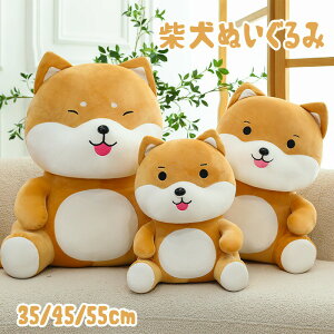  NbV Č ʂ ܂    ߋ 킢 a NX}X v[g  傫  Dw j lC G蔲Q a ܂ 蕨