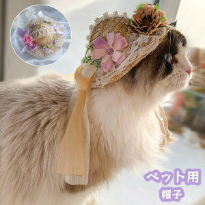  ybgpXq ybgpnbg Lp p ^ hbO ڂ Rt ߉ 悯  O΍ U  킢 o ߂ Ck  L lR ˂ 