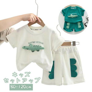  LbY ZbgAbv  j̎q LbY Cxg ㉺Zbg Ԃ xr[ q 2_Zbg LbY V q xr[X[c   xr[Vc ڂpc p