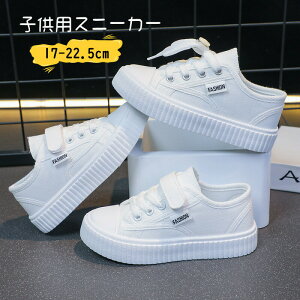  _XV[Y LoX X|[c C  Xj[J[ LbY JWA V[Y q Cxg K n jp ^C i w ʉ ʊw y  qC Lb