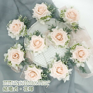  ԉ RT[W Ԙr fB[X ̎q  l RT[W  ԗ  t[ uXbg EFfBO t[C  I 񎟉 p[e