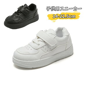  _XV[Y X|[c C  Xj[J[ LbY JWA V[Y q Cxg K n jp ^C i w ʉ ʊw y  qC LbY _X 