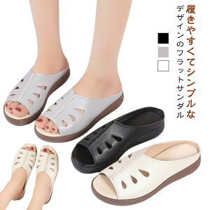  T_ fB[X RtH[gT_ ~[ ʋC U[T_ XbpT_  킢 ₷ ~ 傫TCY s Ȃ tbg\[