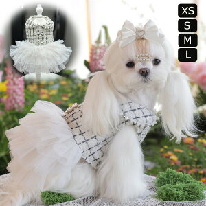   ̎q hX hbOEFA  s[X m EFfBOhX ybg 킢  ybgEGA p[eB[hX ̎q  j Pl LOBe Cx