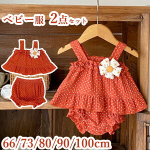  xr[ ZbgAbv ĕ 2_Zbg ̎q L~\[ gbvX Zp[g V[gpc X[c q pct LbY Ԃ ㉺Zbg  o ʐ^B