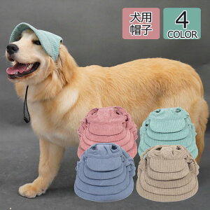  hbO Lbv  pi nbg EFA Oh~ Xq ybg 蕨 p 쌢 oXq  ToCU[ 킢 AEghA ybgXq v[