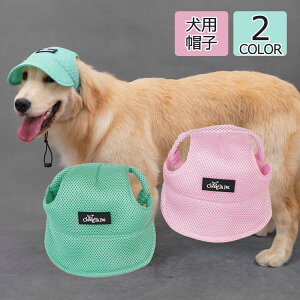  Xq hbO Lbv  ToCU[ pi nbg EFA Oh~ ybg 蕨 p 쌢 oXq  킢 AEghA ybgXq v[