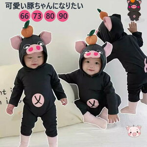  xr[ p[X nEB ؂ Ԃ  nEB[ߑ ʐ^Be pW} [EFA oYj 66 73 80 90 xr[ Jo[I[ Ԃ ̎q j̎q  I