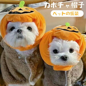  J{`̖Xq ̃RX`[ ʔ ϐgߑ nEB Xq ybg p[eB[ bN  p Lp ybgXq J{` nEB 蕨 ybgEFA ^ ^