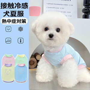   ĕ N[ Ђ ڐG⊴  ^Ngbv EȒP   Lk  MǑ΍ V C U ybg  ⊴tVc t   UVJbg m[X