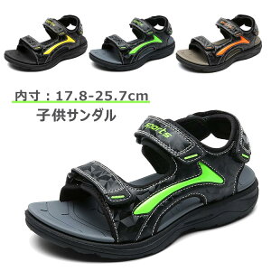  q V[Y p T_ X|[cT_ j̎q 傫TCY ̎q r[`T_ ANAV[Y T}[V[Y WjA LbY ܐ y AEghA T_