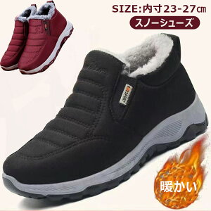  Xm[u[c Y  j C yAbN u[c V[Y h h Xm[V[Y hC j fB[X EB^[ ~C N JWA H~ ItBX ʋ ʊw 