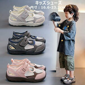  X|[cT_ j̎q T_ ܐ悠 傫TCY ̎q r[`T_ ANAV[Y T}[V[Y V[Y WjA LbY ܐ q y AEghA T