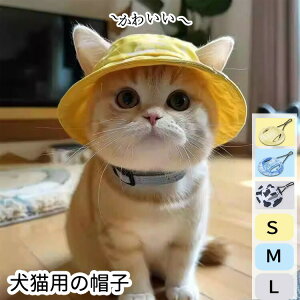  ybgXq oXq nbg  Lbv ῂy X  z O΍ ΍ ToCU[ 킢 L  ybg L pi