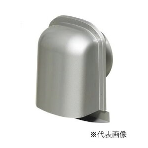 H CށyPYT-S100AzVo[ pCvt[h(^) XeX 100kl