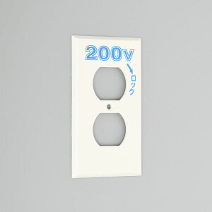 `AJd@ y101N-200zF RZgpv[g |`p Gv(iC) 1p{bNXp ×2 200V\()