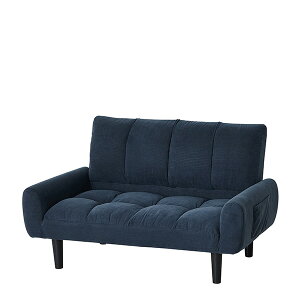 ۃNVI y28748z(4954877287483) lCr[u[ 2P R[fC\t@[ i