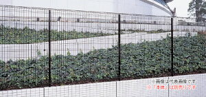 u.lށy74FP-10BKzubN X`[bVtFX EMF1F^ 74:Rx H10p {̕ʔ