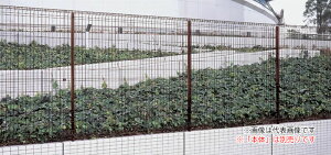 u.lށy74FP-10BRzuE X`[bVtFX EMF1F^ 74:Rx H10p {̕ʔ