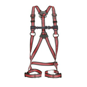 ̓^W}/TAJIMA yAZAL-LREzC LTCY n[lXZA yʃA~obN ڃxg (4975364261304)