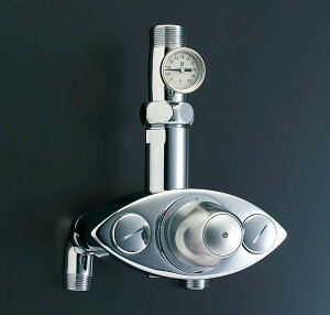 INAX/LIXILyBF-20TM-32Bz^T[X^bgtou IozǗpExvt Ăьa32mm 󒍖2TkIEl