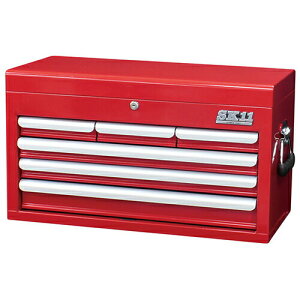 ���͓����Y�� �ySRC-4060RE�zSK11 �`�F�X�g(4�i6���o��) (4977292299534)
