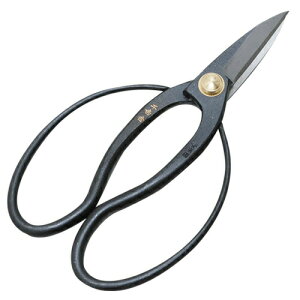 ͓Y yg  v 180MMzv (4977292627009)