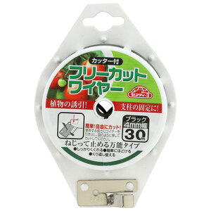 ͓Y yZteB[3 t[JbgC[ 30M ubNzt[JbgC[ 30M (4977292648851)